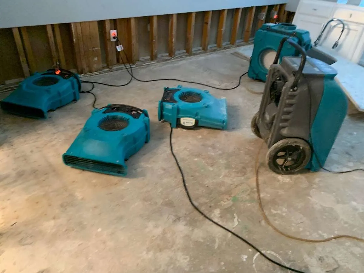 Water Damage Restoration services in Tanaina, AK